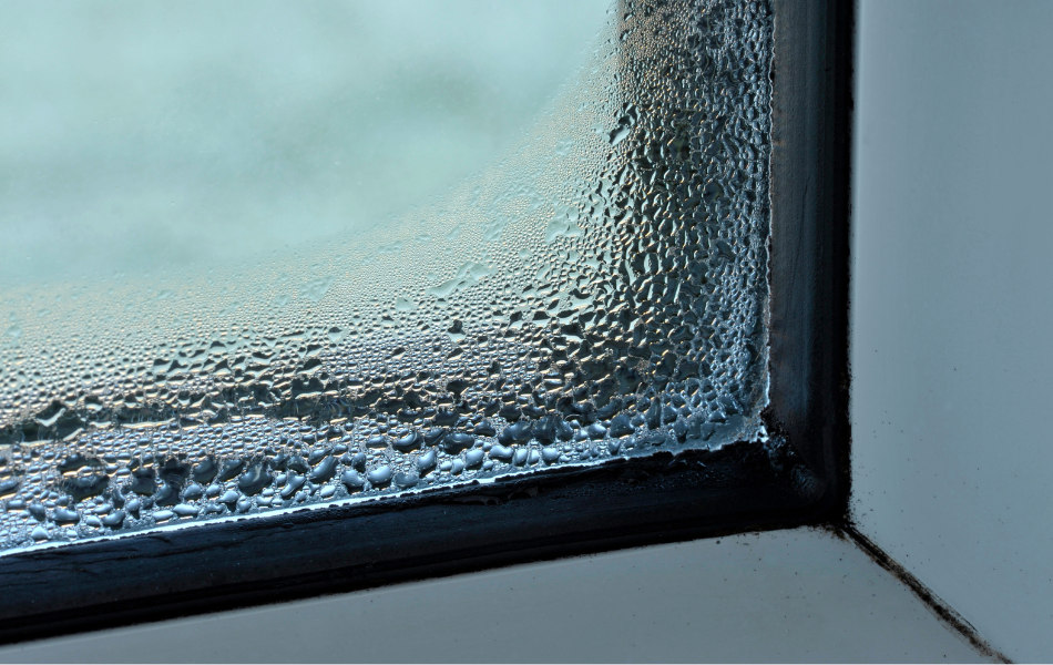 nhmf%2Dawaabslaw%2Doct252