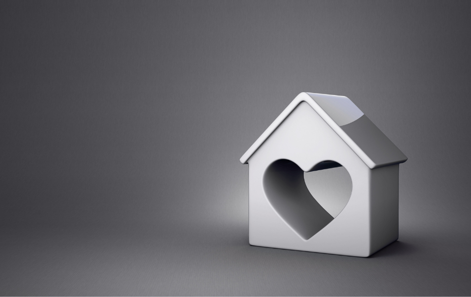 nhmf%2Dbulletin%2Dspfjune2025%2D12